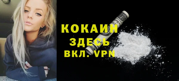 сатива Беломорск