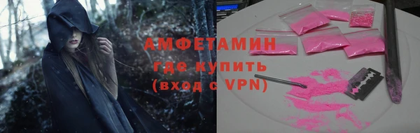 сатива Беломорск