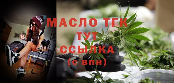 сатива Беломорск