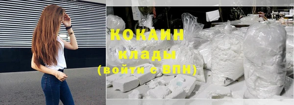 сатива Беломорск
