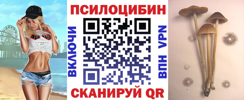MEGA зеркало Кувандык Галлюциногенные грибы мицелий